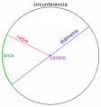 La circunferencia.